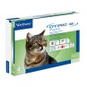 Virbac Effipro Duo Gatto Spot-On 50 mg 4 Pipette