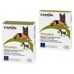 Camon Orme Naturali Artosalus 30 e 60 Compresse