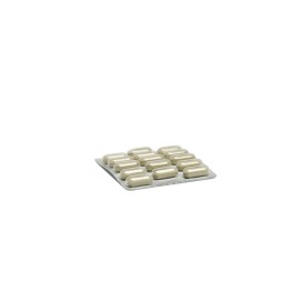 Camon Orme Naturali Artosalus Blister Compresse