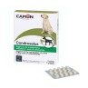Camon Orme Naturali Condrosalus 30 Compresse
