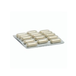 Camon Orme Naturali Equilibria Vet Blister Compresse