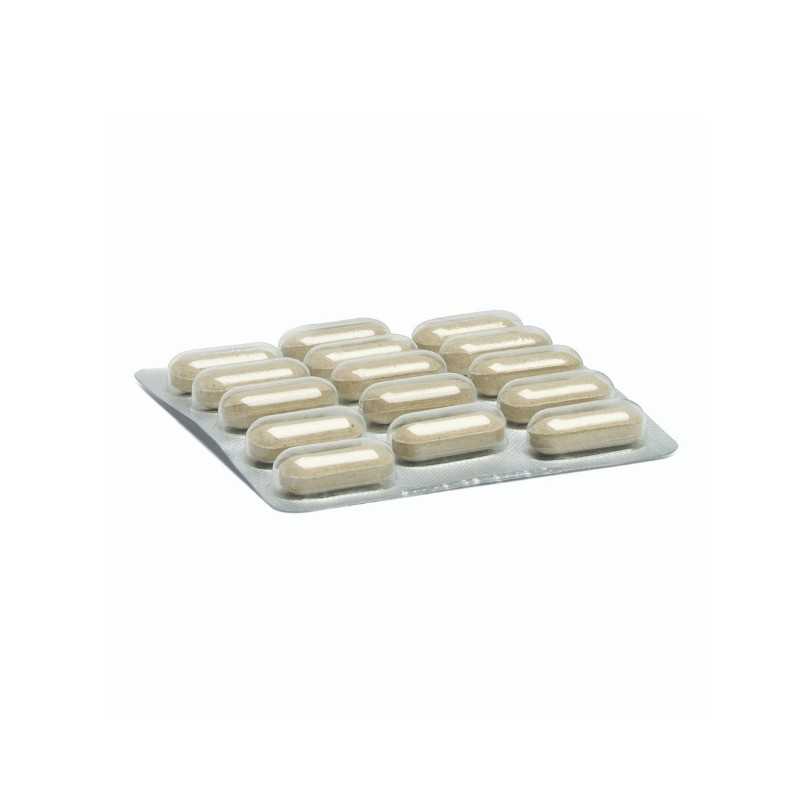 Camon Orme Naturali Equilibria Vet Blister Compresse