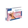 Effipro Duo Cane Spot-On 268 mg 20-40 kg 4 Pipette