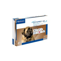 Effipro Duo Cane Spot-On 402 mg 40-60 kg 4 Pipette