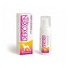 Teknofarma Deroxen Pet Line Schiuma 100 ml