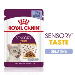 Royal Canin Sensory Taste Bocconcini in Gelatina
