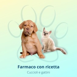 Stronghold Rosa 15 Pipette gatti e cani sino a 2.5kg