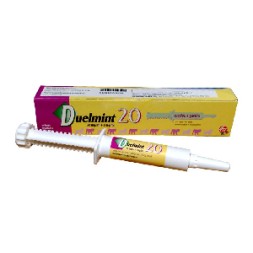 Duelmint 20 Pasta orale 15 ml