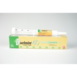 Duelmint 40 Pasta orale 15 ml
