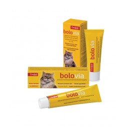 Candioli Bolo Via Pasta Gatti 100 gr