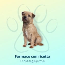 Nexgard 3 Compresse 11 mg 2-4 kg