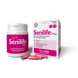 Innovet Senilife Plus 30 capsule birillo monodose