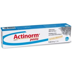 Actinorm Pro Pasta Gatti 65 gr