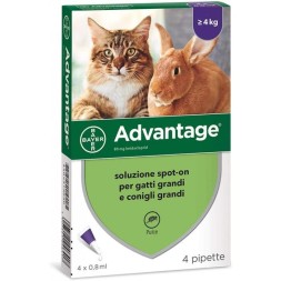 Advantage Spot On 4 Pipette 0,8 ml