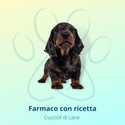Milpro Vet 2,5 mg/25 mg marrone cucciolo e cane piccolo 0,5-10 kg 2 compresse