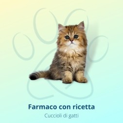 Milpro Vet 4 mg/10 mg verde chiaro gattini 0,5-2 kg 2 compresse