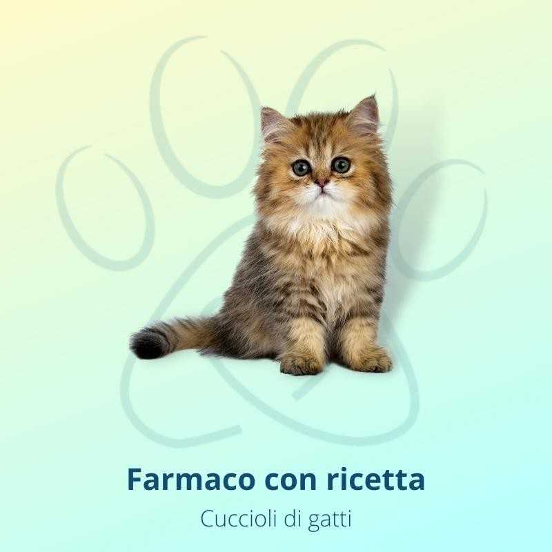 Milpro Vet 4 mg/10 mg verde chiaro gattini 0,5-2 kg 2 compresse