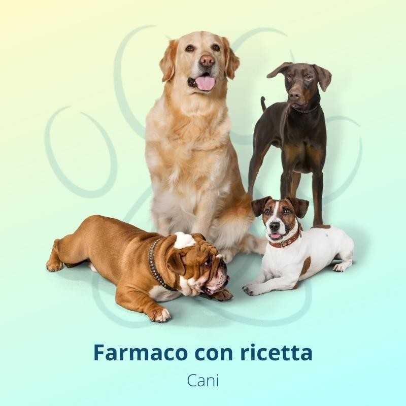 Milbemax Blu 12,5/125 mg 2 Compresse Per Cani