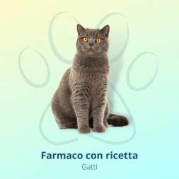 Bravecto Gatti 2,8-6,25 Kg - 1 Pipetta