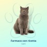 Bravecto Plus 112,5 mg/5,6 mg 1 Pipetta Per Gatti 1,2-2,8 kg