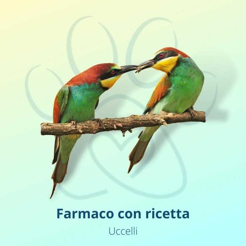 Enrobactin 25 mg/ml Soluzione Orale concentrata 10 ml