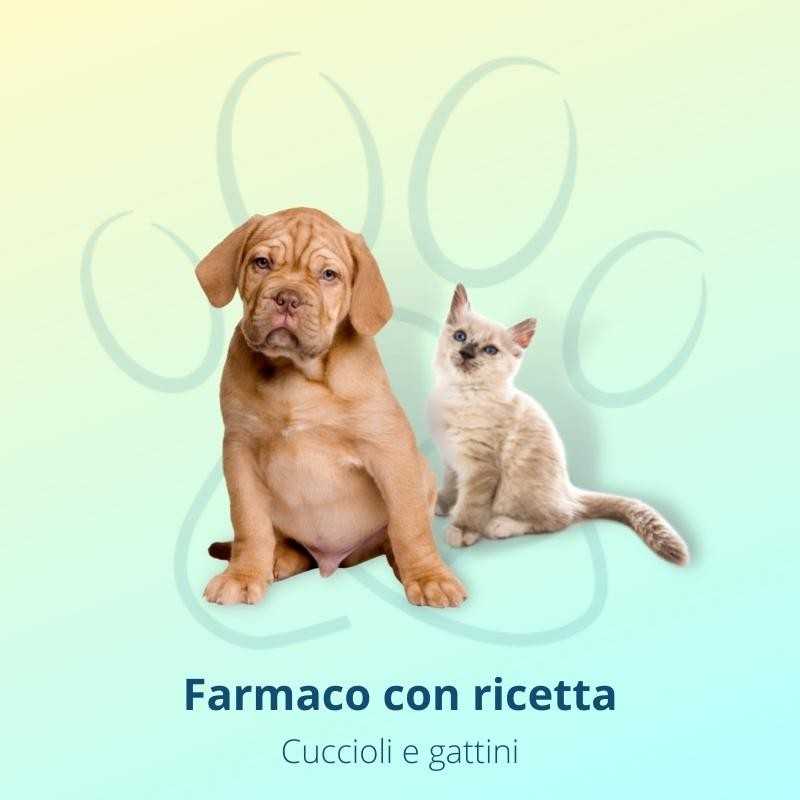 Evicto 15 mg peso inferiore a 2,5 kg 4 tubi