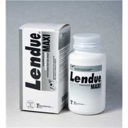 Teknofarma Lendue Maxi 480 mg 35 Compresse | FarmaPet