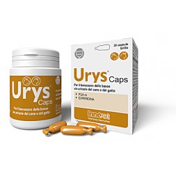 Urys Caps 30 capsule