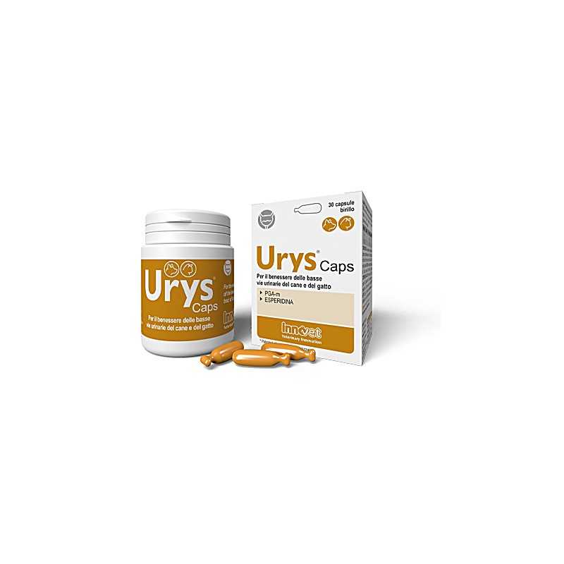 Urys Caps 30 capsule