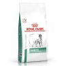 Royal Canin Diabetic Cane Secco