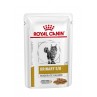 Royal Canin Urinary S/O Moderate Calorie straccetti in salsa