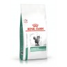 Royal Canin Diabetic Crocchette Gatto