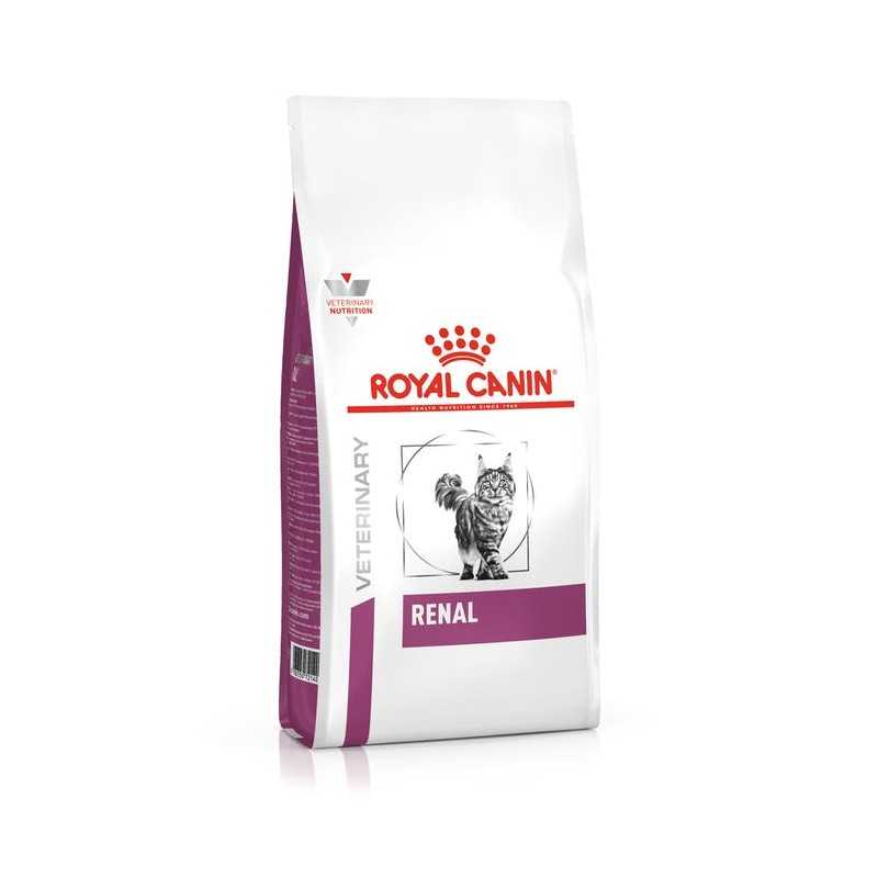 Royal Canin Renal Secco Gatto