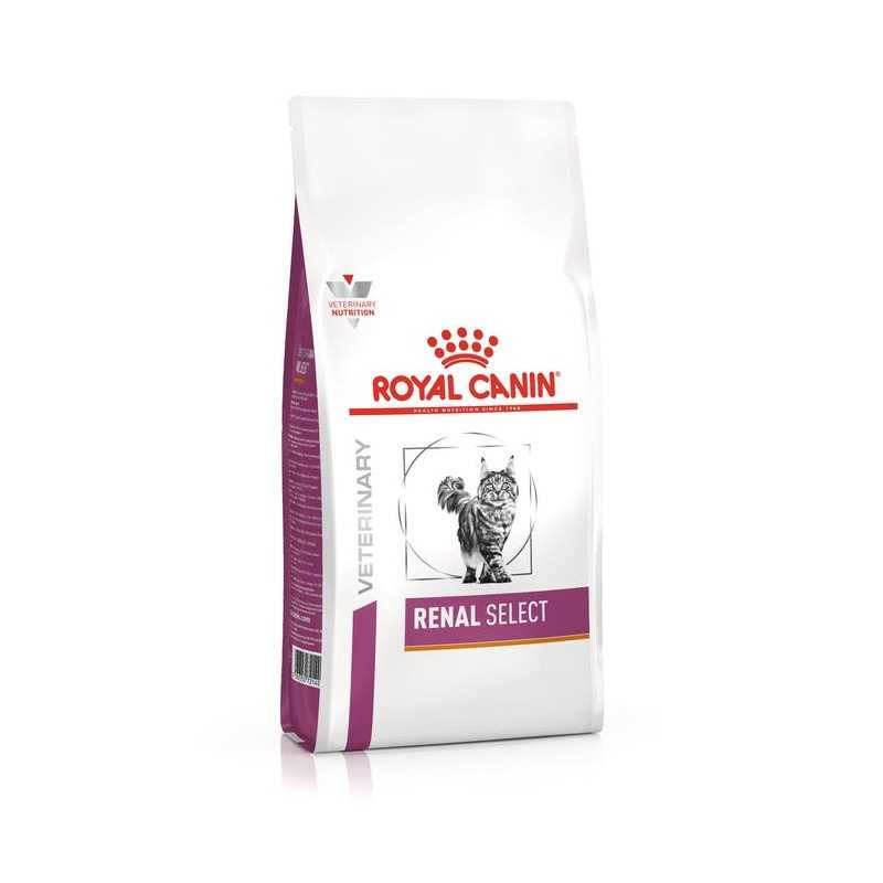 Royal Canin Renal Select Secco Gatto