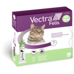 Vectra Felis