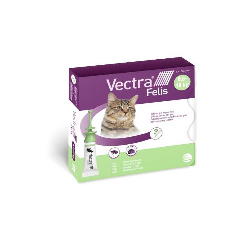 Vectra Felis