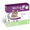 Vectra Felis
