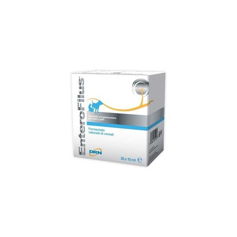Drn Enterofilus 36 Fiale 10 ml