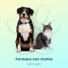 Stargate Iniettabile Flacone 1 ml 50 mg/ml