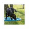 Tappetino A Getto D'Acqua Per Cani