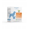Dynamopet Vita small 20 bustine 1 gr