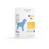 Dynamopet DìMood Large 20 Bustine 10 gr