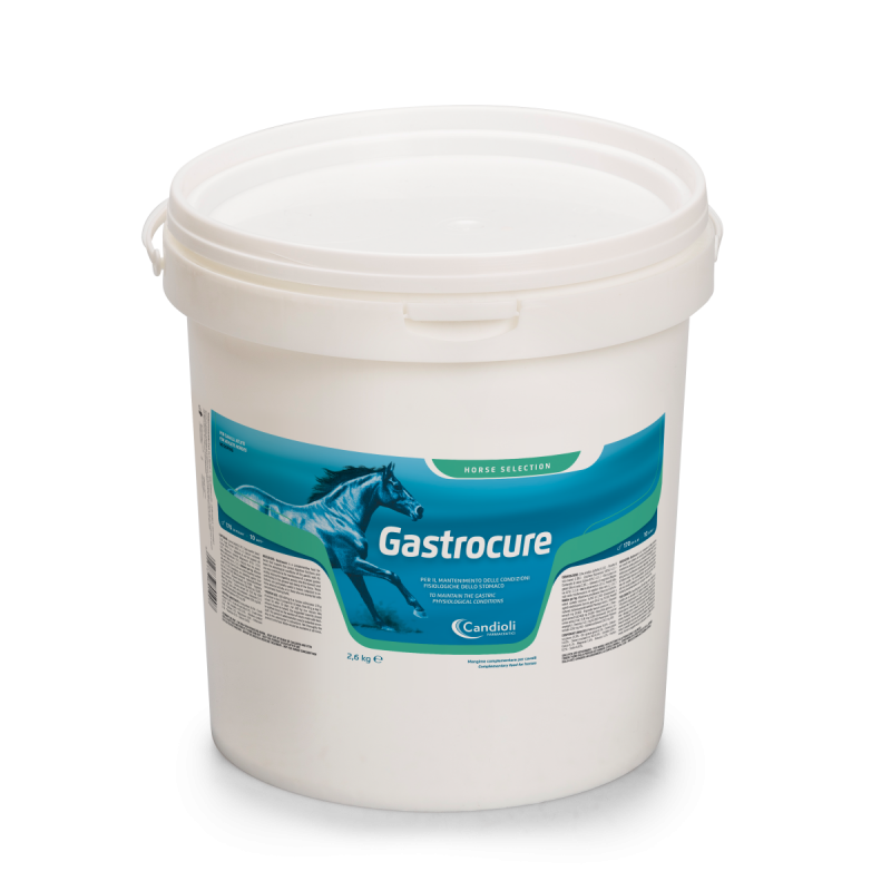 Gastrocure 2,6 kg