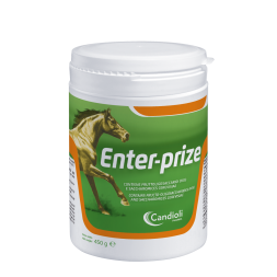 Enter-Prize Polvere 450 gr