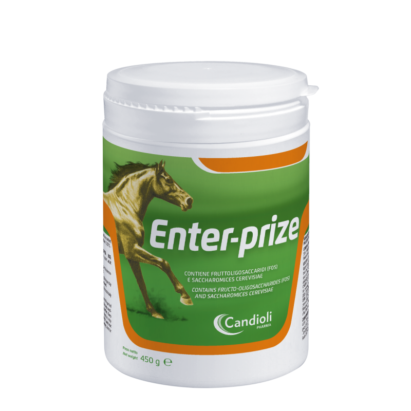 Enter-Prize Polvere 450 gr