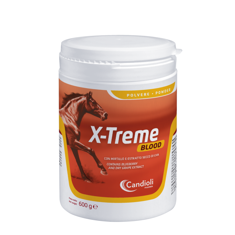 X-Treme Blood 600 gr