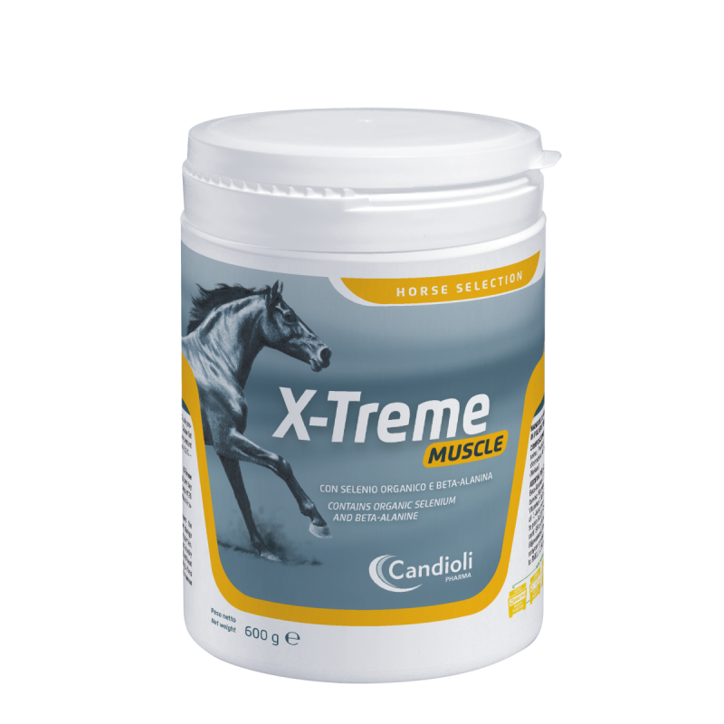 X-Treme Muscle 600 gr
