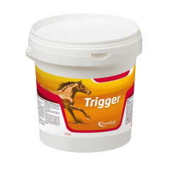 Trigger 1 kg