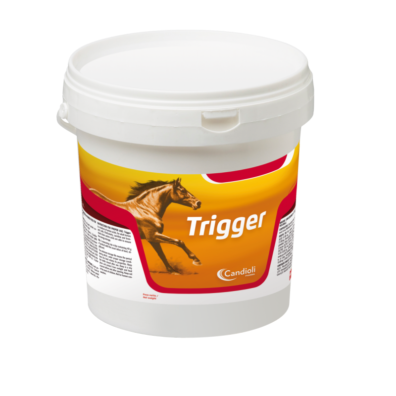 Trigger 1 kg