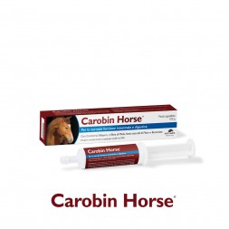Carobin Horse Siringa 100 gr